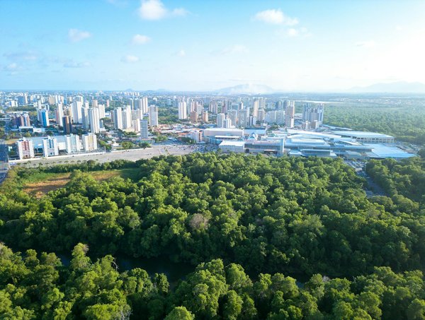 L'impact de l'éducation sur la réduction de la pollution de l'air : Solutions et initiatives