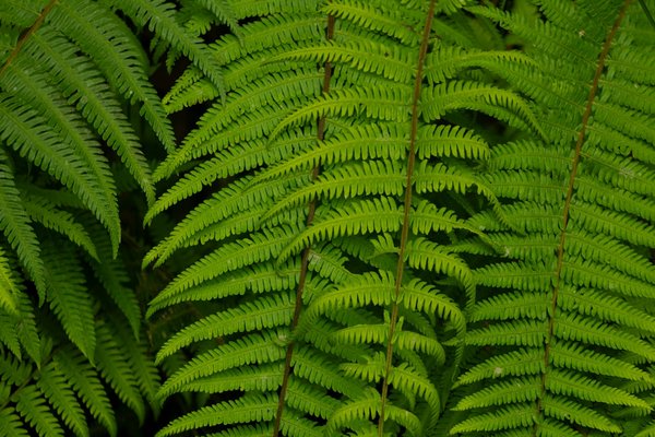 Plongée dans l'univers du mentalisme avec Hugo Marceau à Lyon